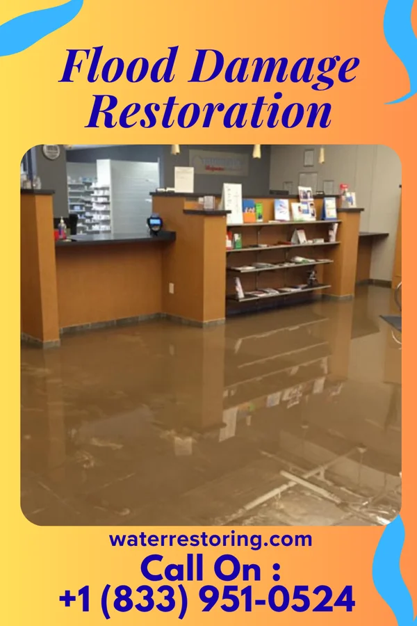 Flood Damage Restoration in Sumrall, MS