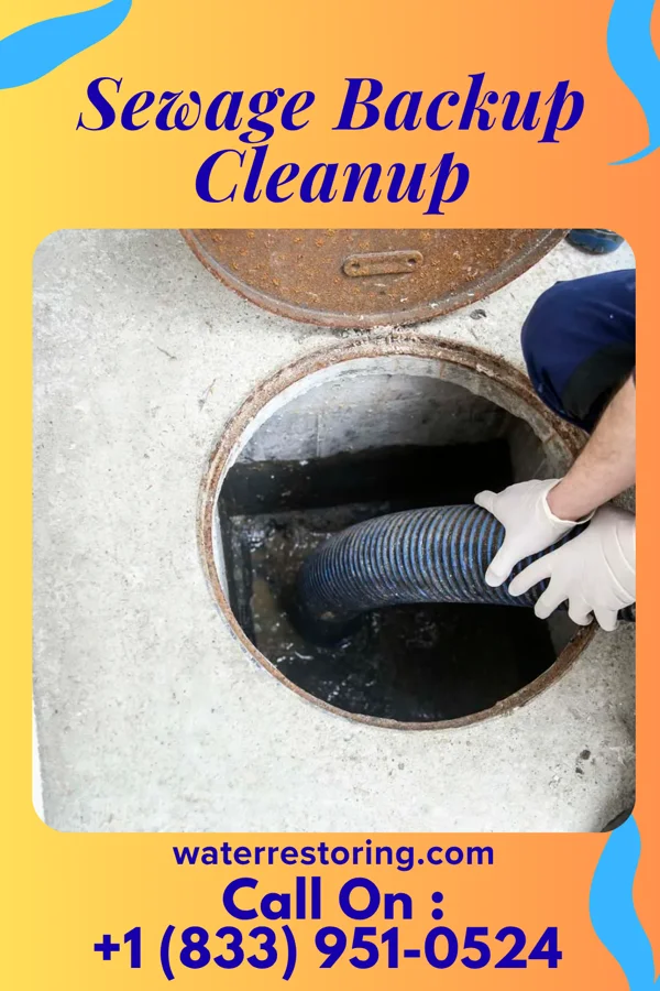 Sewage Backup Cleanup in Sumrall, MS
